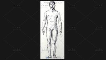 解剖女孩视频,从视频视角探索女性身体奥秘