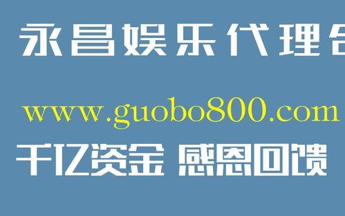 缅甸签单视频,跨境贸易的便捷之路