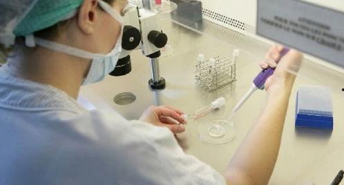 排卵针视频,视频教程深度解读