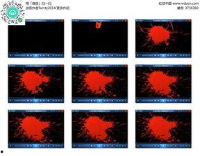 血滴视频素材,惊心动魄的瞬间