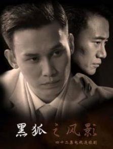 黑狐之风影视频