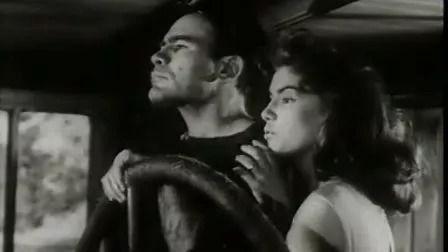 多瑙河之波视频,流淌的欧洲风情画卷