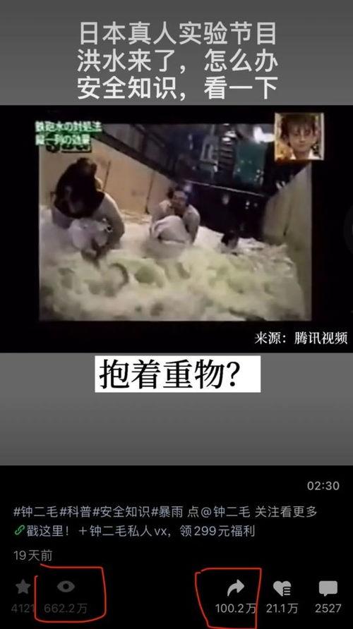 日别视频在线观看,每日必看的热门在线内容回顾