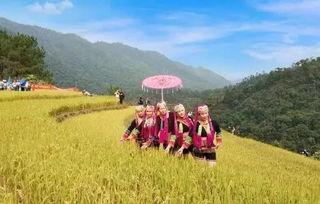 上思县视频,自然风光与人文历史的完美融合