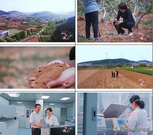 勺窝乡视频,自然风光与民俗文化的完美融合